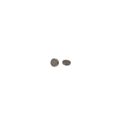 Magnete - Scheibenmagnet  in verschieden Größen