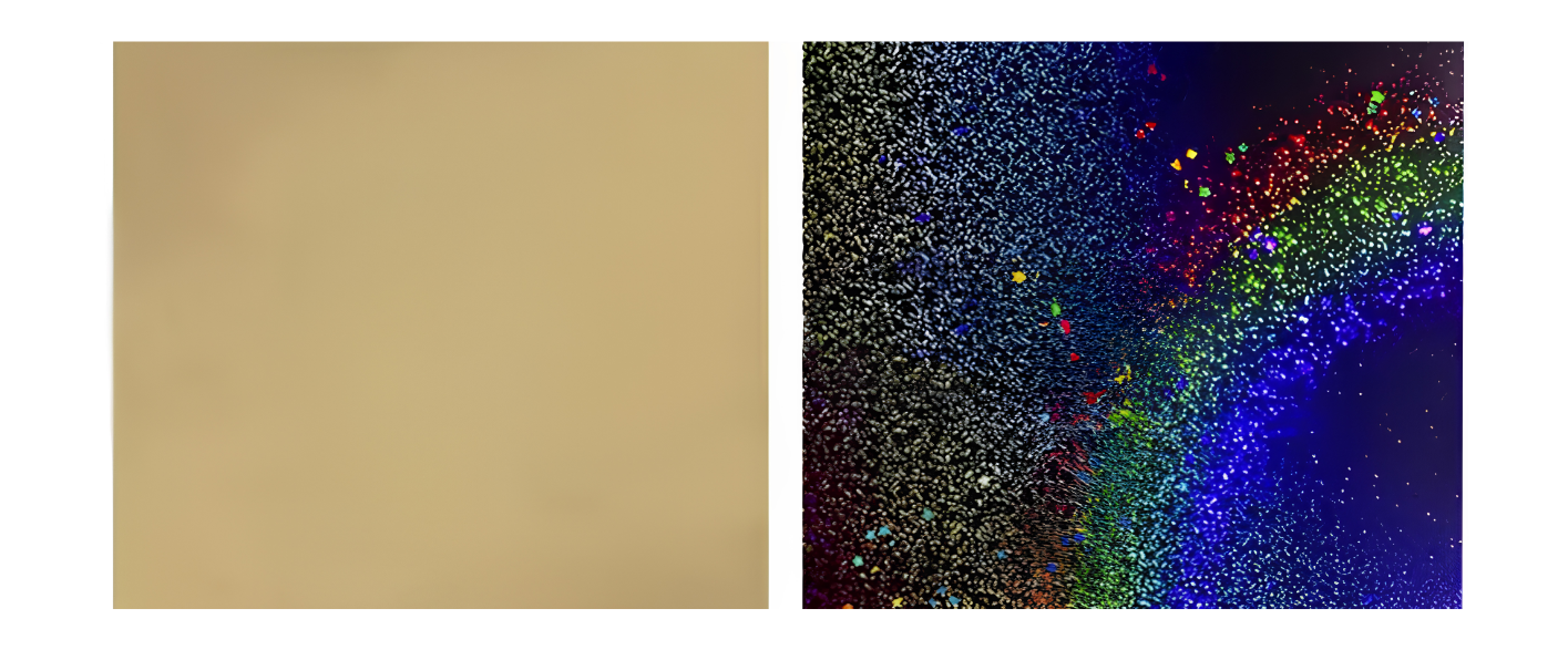 Bambu Lab: Smooth PEY + Texture PEI  Druckplatte